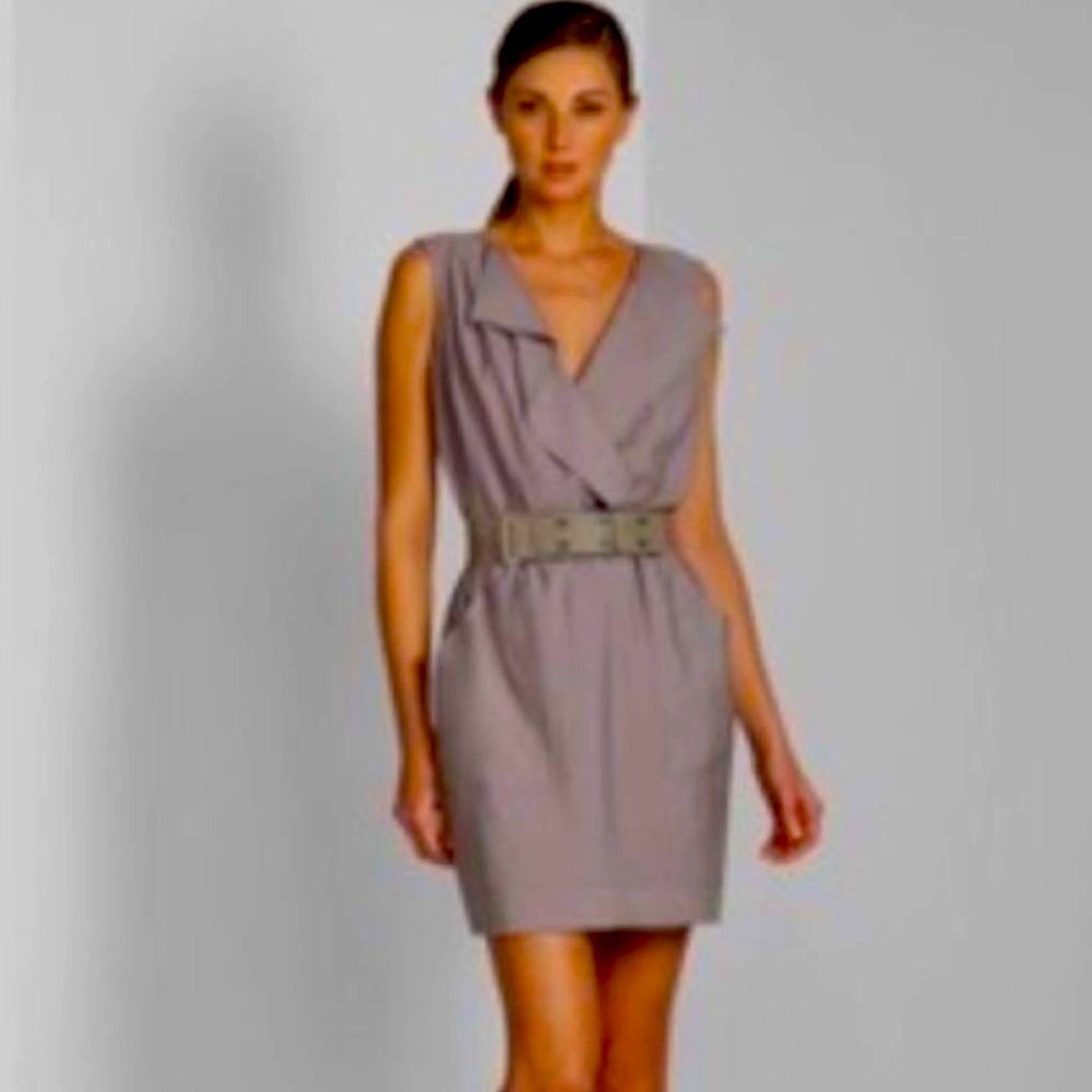 BCBGMaxAzria Dovielle Sleeveless Dress in Moss